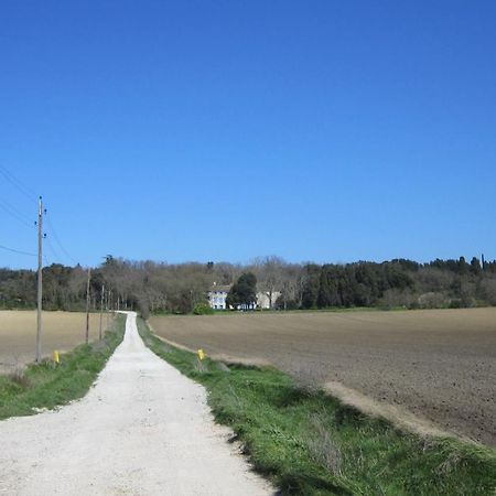 Chambres D'Hotes Domaine Saint-Joly Lasbordes Εξωτερικό φωτογραφία
