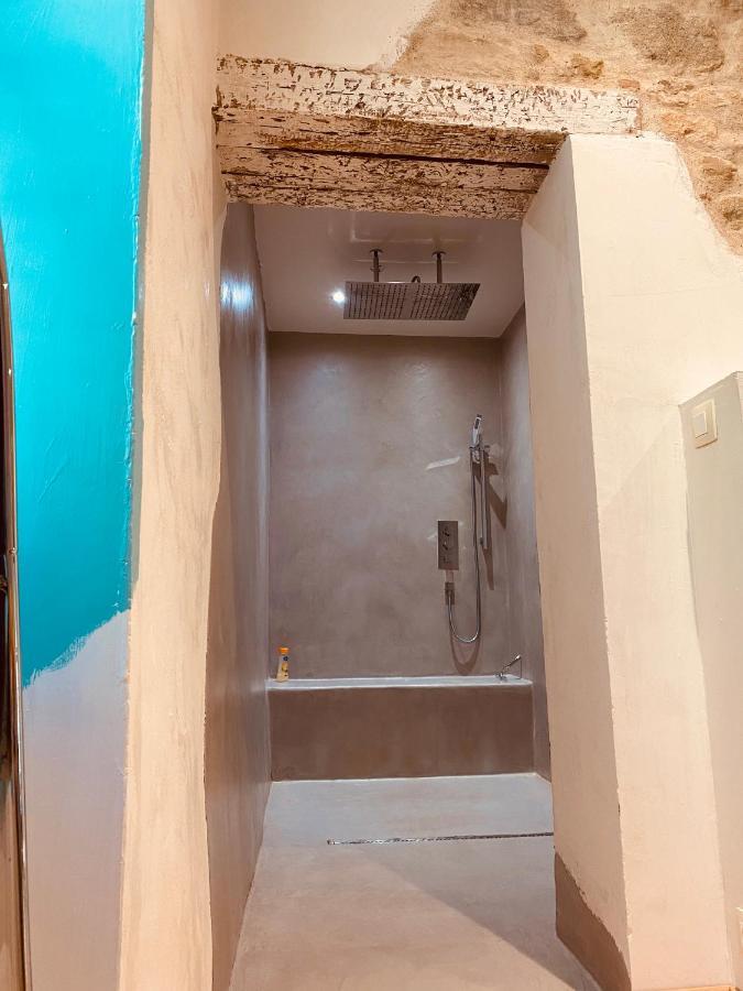 Chambres D'Hotes Domaine Saint-Joly Lasbordes Εξωτερικό φωτογραφία