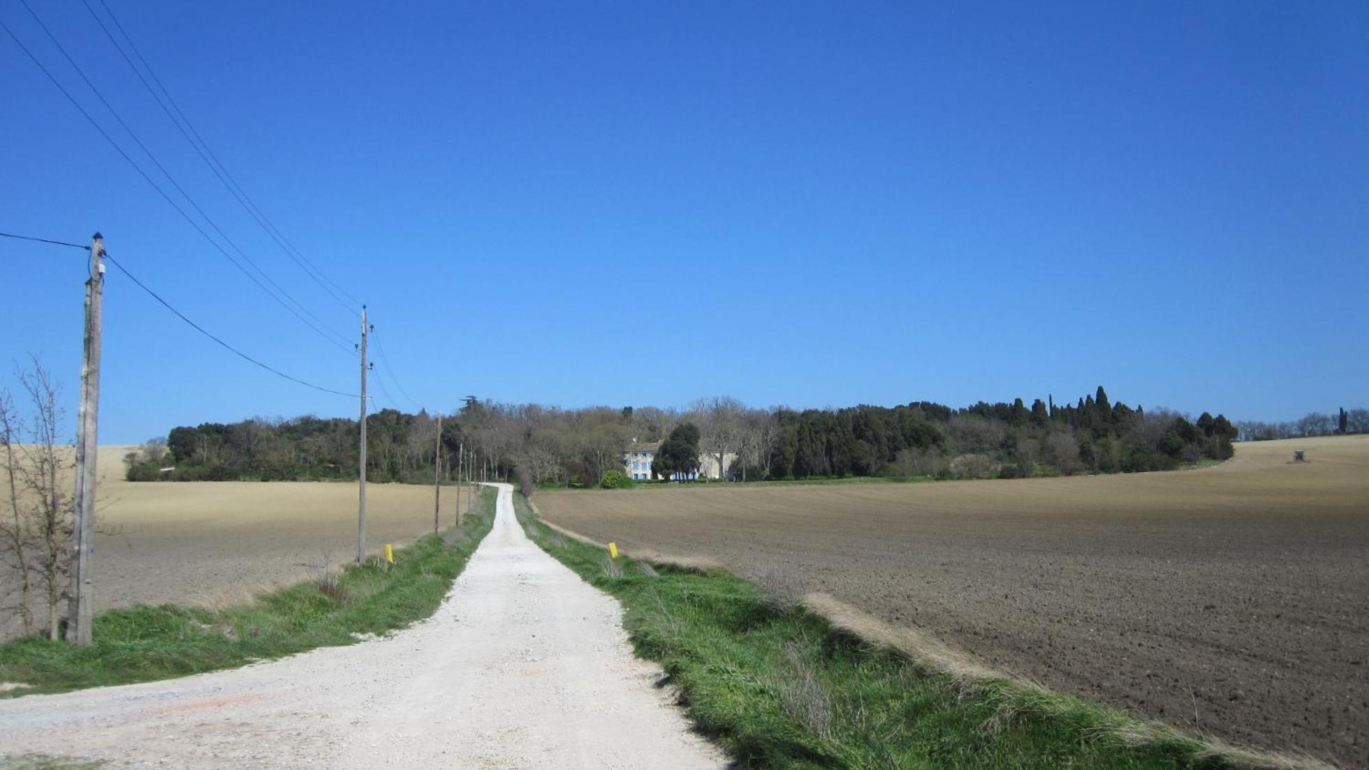 Chambres D'Hotes Domaine Saint-Joly Lasbordes Εξωτερικό φωτογραφία