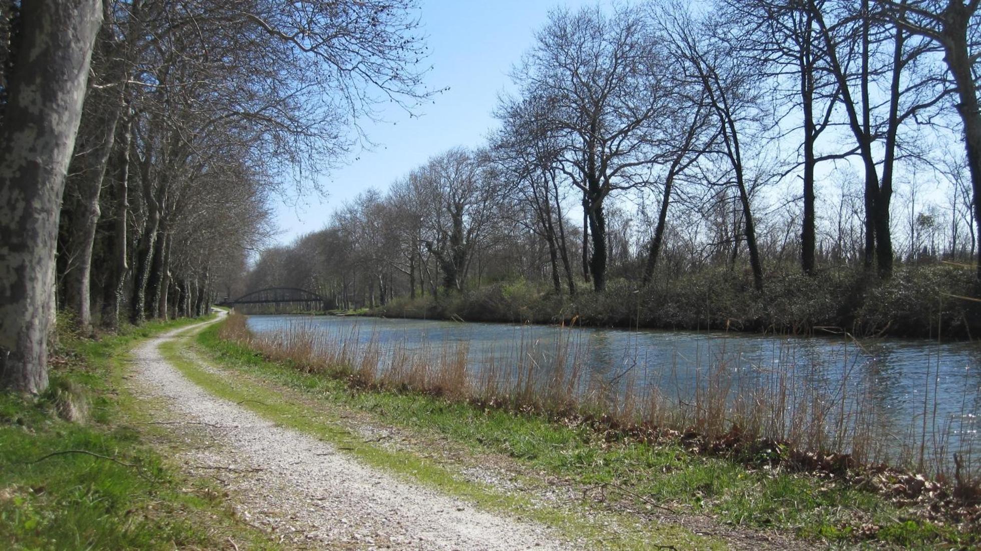 Chambres D'Hotes Domaine Saint-Joly Lasbordes Εξωτερικό φωτογραφία